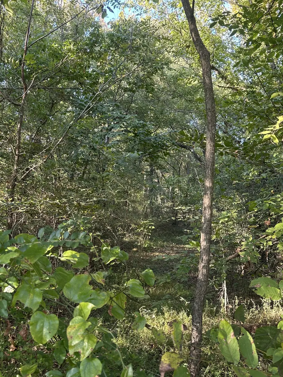 0 Rayburn Walling Rd, Rock Island, TN 38581 - #3