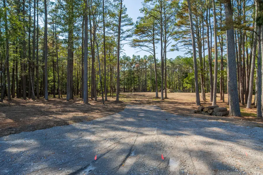 0 Tom Rail Road, Santa Fe, TN 38482 - #2