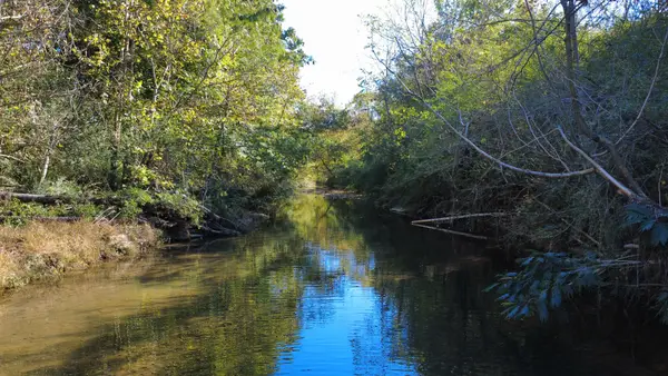 0 Hooper Rd, Hohenwald, TN 38462