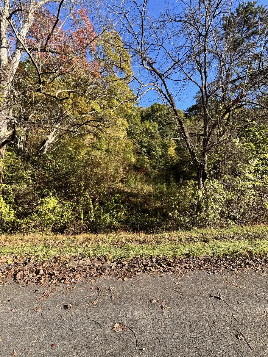 0 Rex Way, Sevierville, TN 37876 - #3