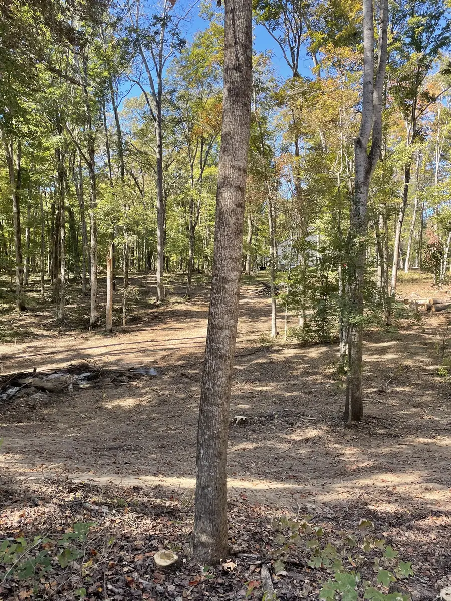 0 Breeden Rd, Charlotte, TN 37036 - #2