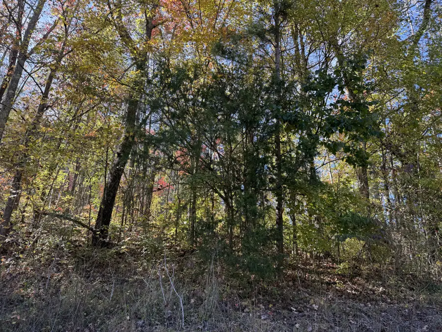 1755 Williams Rd, Pleasantville, TN 37033 - #2