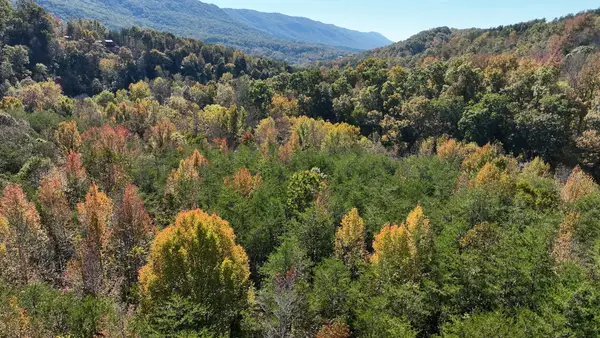 1269 County Road 480, Englewood, TN 37329