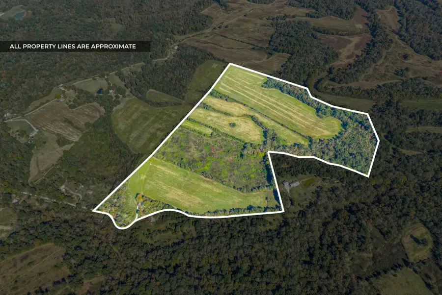 430 Eli Rd, Dawson Springs, KY 42408 - #3