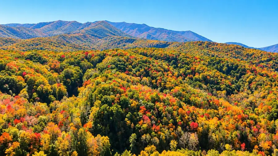 1704 Hidden Hills Rd #606, Gatlinburg, TN 37738 - #3