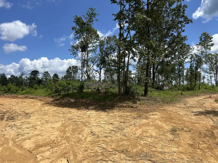 0 Wynn Rd, Big Sandy, TN 38221 - #2