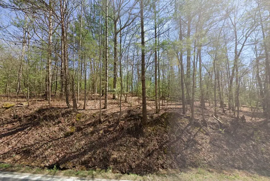 71 Herrington Rd, Spring City, TN 37381 - #3
