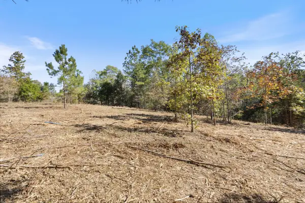 0 E 40 Rd, Bon Aqua, TN 37025