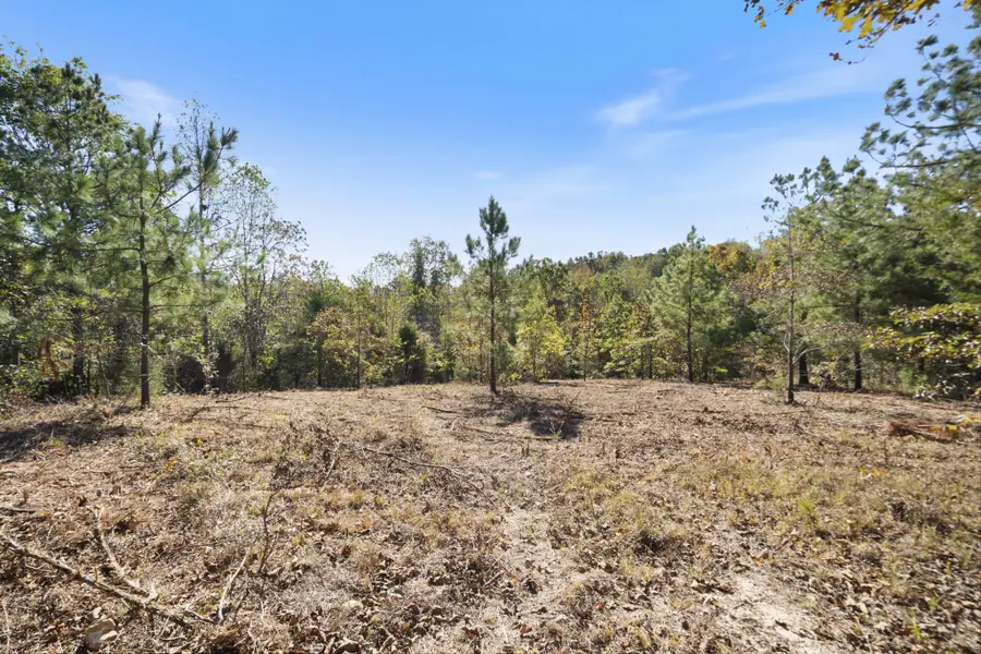 0 E 40 Rd, Bon Aqua, TN 37025 - #3