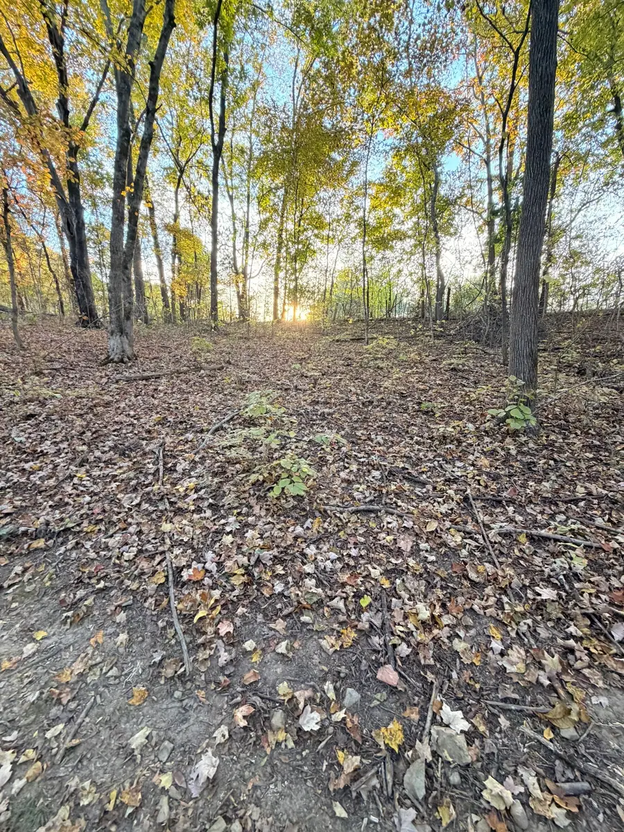 640 Richardson Cemetery Rd, White Bluff, TN 37187 - #2