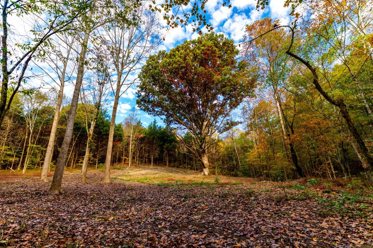 0 Robinson Rd, Thompsons Station, TN 37179 - #1