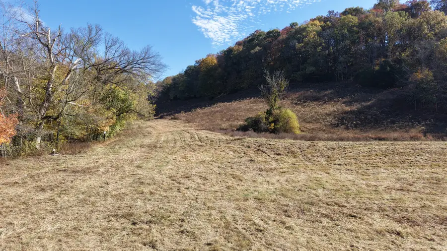 6431 Old Bottom Rd, Pleasant Shade, TN 37145 - #3