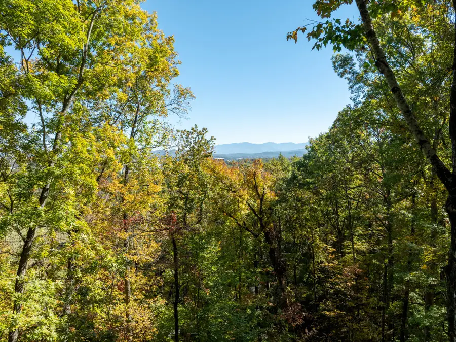 742 Lloyd Huskey Rd, Pigeon Forge, TN 37863 - #3