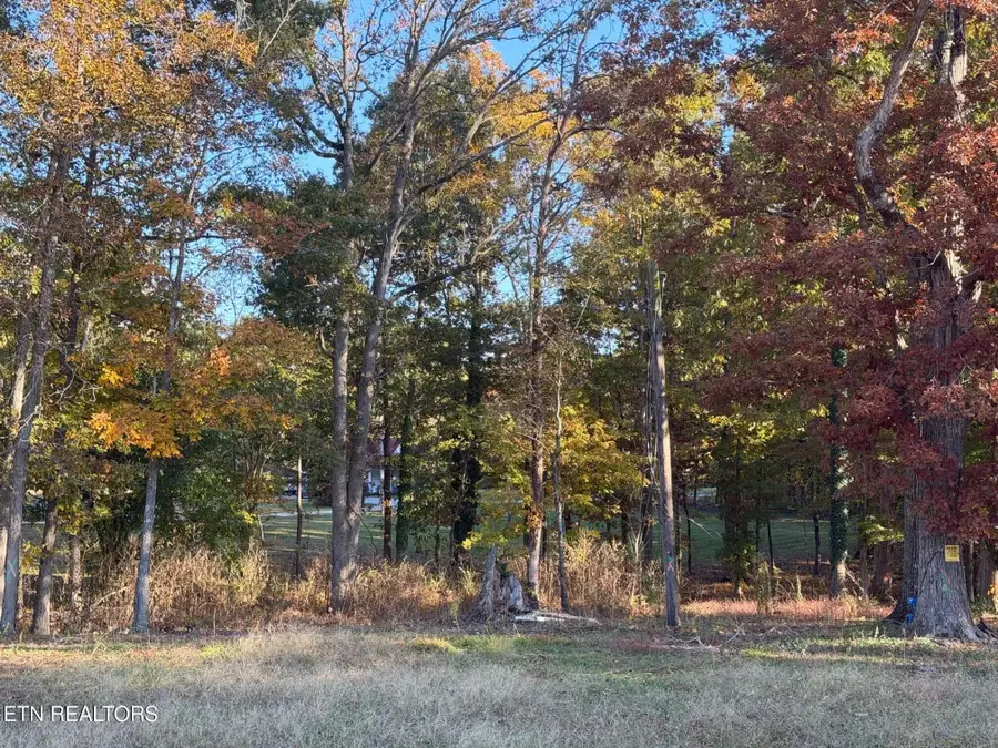 915 Tittsworth Springs Rd, Seymour, TN 37865 - #3