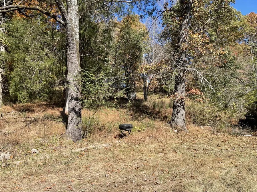 136 D R Barnes Rd, Erin, TN 37061 - #3
