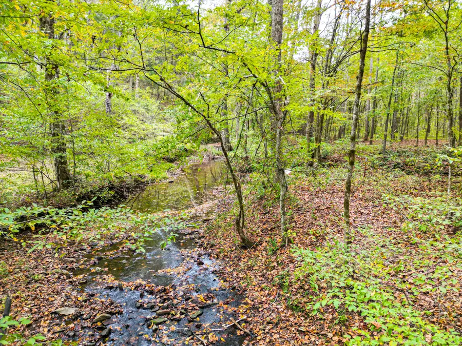 7139 Kingston Rd, Fairview, TN 37062 - #3