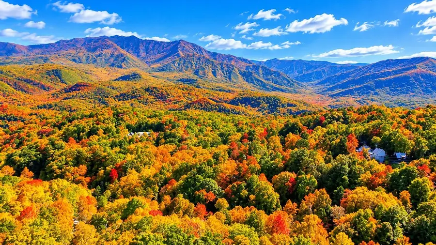 923 Stans Rd, Gatlinburg, TN 37738 - #2