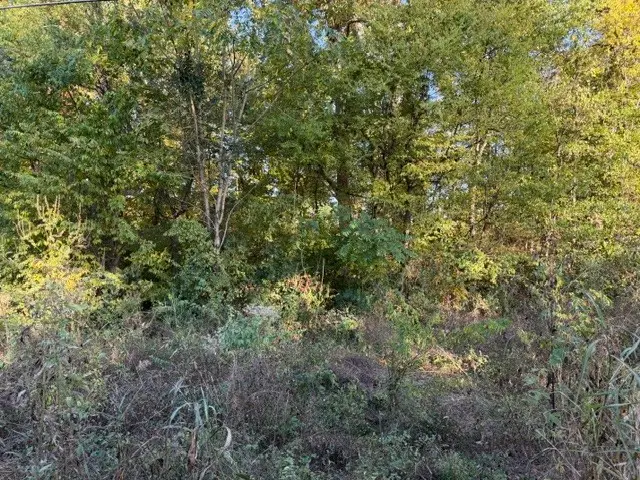 204 Pioneer Dr, Smyrna, TN 37167 - #3