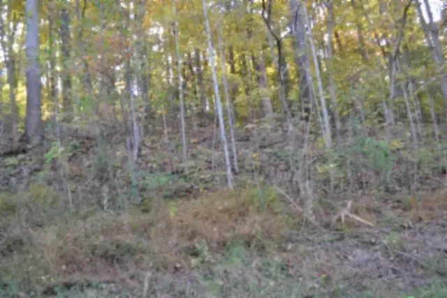 0 Apache Rd, Jamestown, TN 38556 - #2
