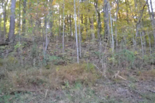 0 Apache Rd, Jamestown, TN 38556 - #3