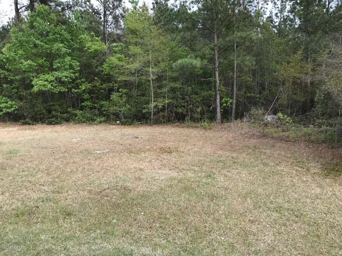 150 Woodlief Drive, Elizabethtown, NC 28337 - Image #1