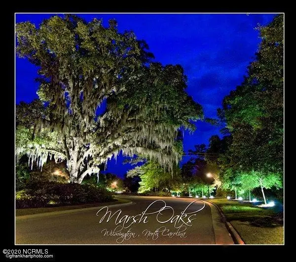 913 Bayshore Drive, Wilmington, NC 28411 - Image #3