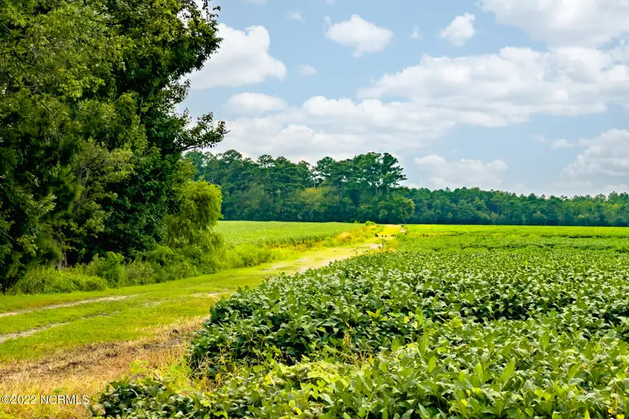 N/A Parkertown Road, Hubert, NC 28539 - Image #2