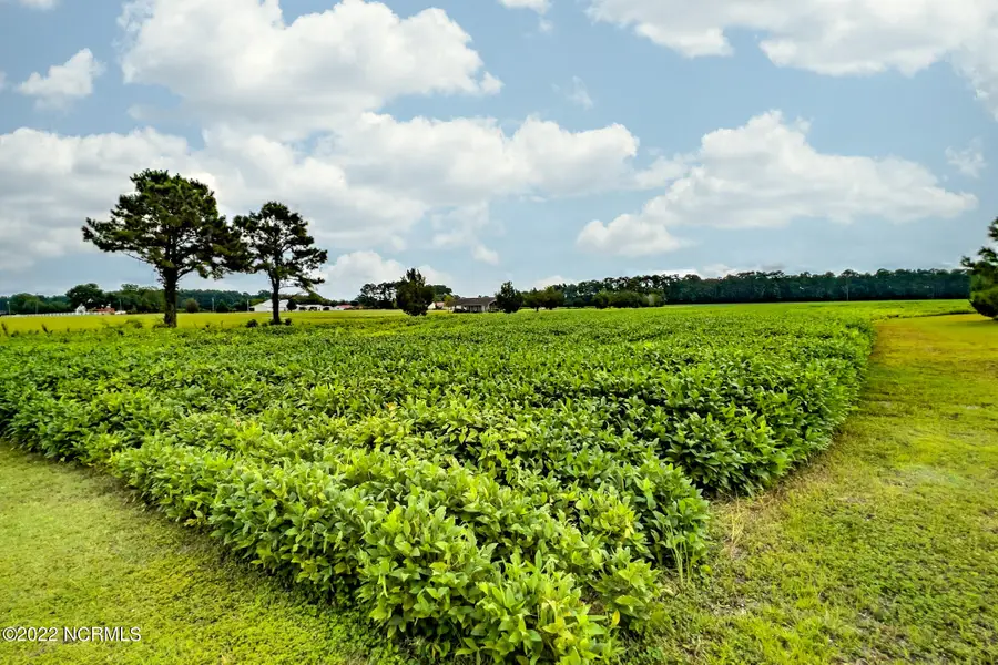 N/A Parkertown Road, Hubert, NC 28539 - Image #3