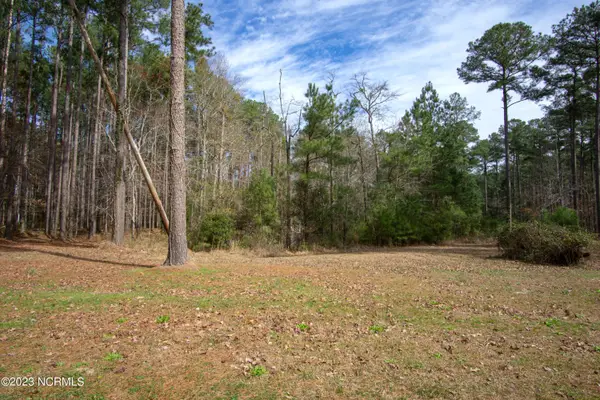 88 Cape Hatteras Point, Oriental, NC 28571