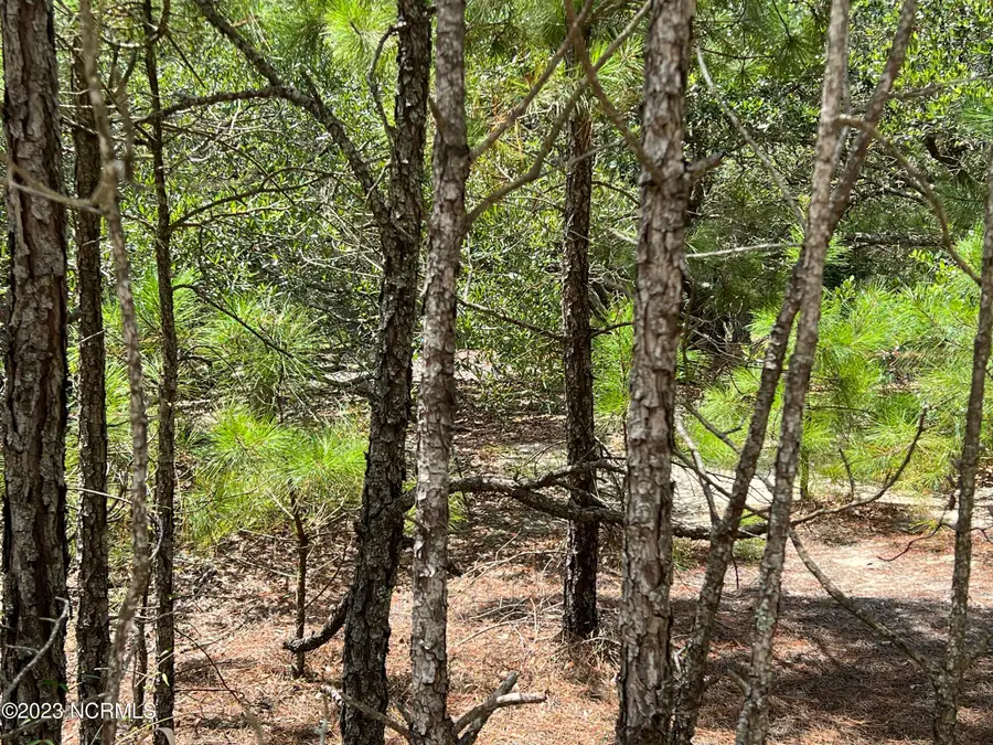 2312 Swan Island Road, Corolla, NC 27927 - Image #3