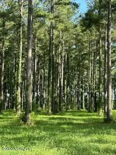 95 147 Dawson Creek Blvd, Oriental, NC 28571 - Image #1