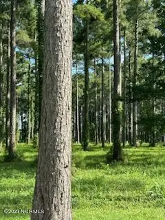 95 147 Dawson Creek Blvd, Oriental, NC 28571 - Image #3