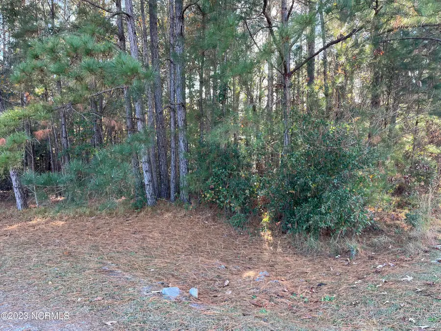 1894 Sunset Cove Rd. Se Drive Se, Bolivia, NC 28422 - #2