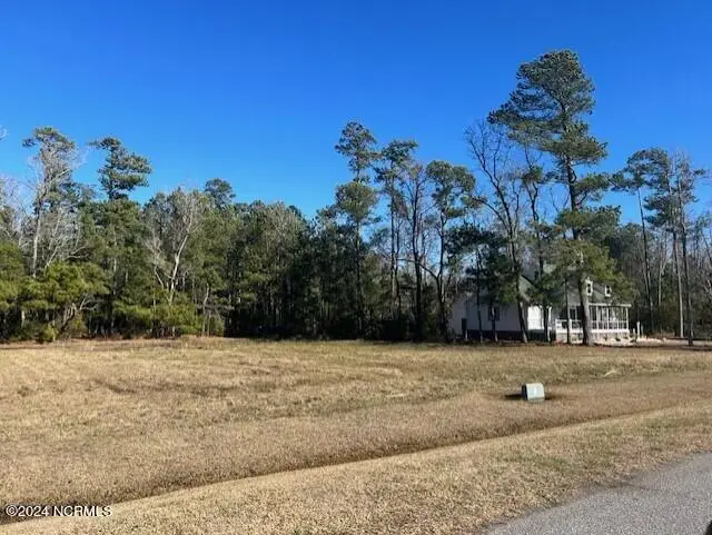 203 E Dowry Creek, Belhaven, NC 27810 - Image #3