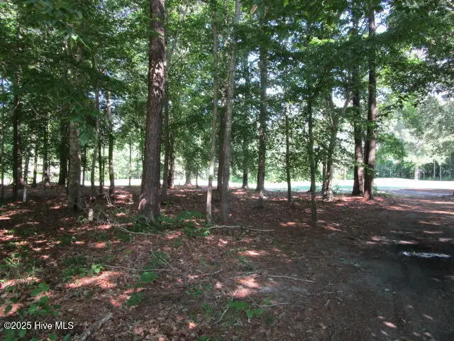 Lot 1 Roanoke Drive, Hertford, NC 27944 - Image #1