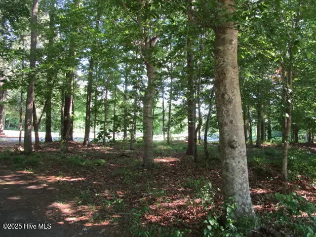 Lot 1 Roanoke Drive, Hertford, NC 27944 - Image #2
