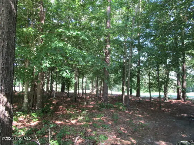 Lot 1 Roanoke Drive, Hertford, NC 27944 - Image #3