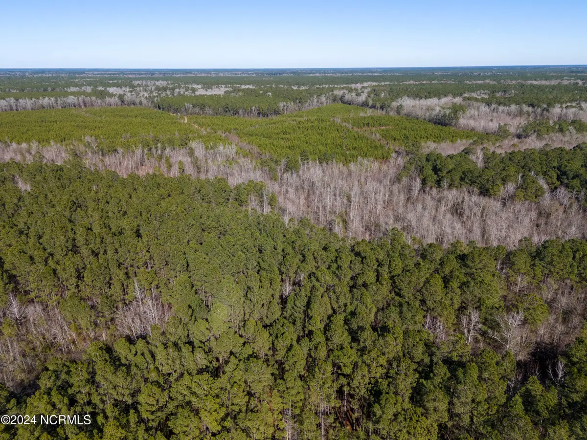 00 Sykes Town Road, Currie, NC 28435 - Image #1