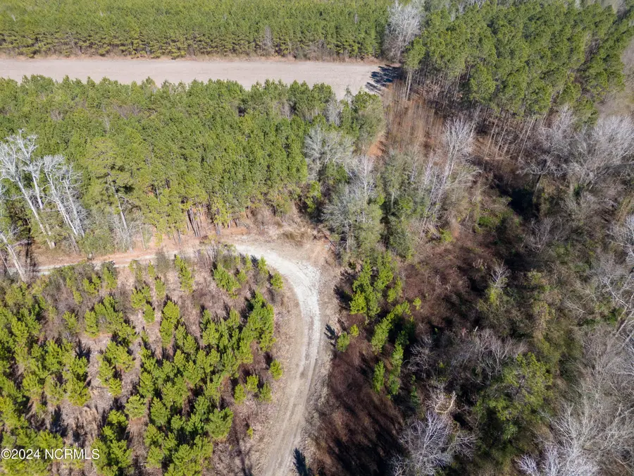 00 Sykes Town Road, Currie, NC 28435 - Image #2