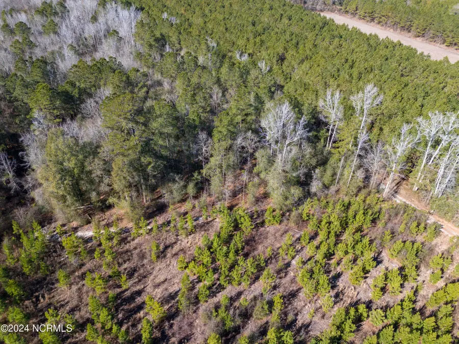 00 Sykes Town Road, Currie, NC 28435 - Image #3