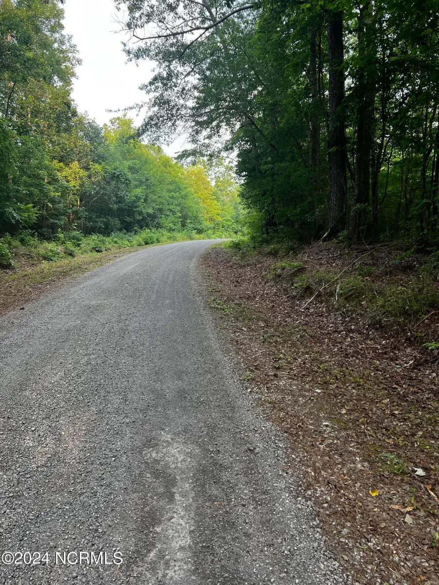 Tbd Soney Lane, Gatesville, NC 27938 - Image #3