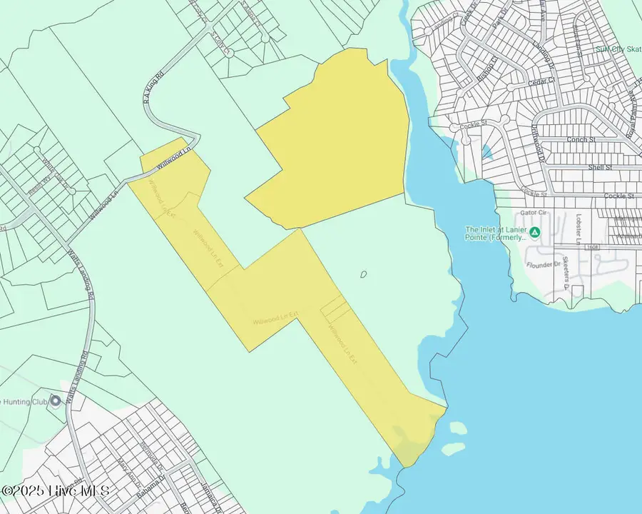 141.83 Acres Watts Landing Road, Hampstead, NC 28443 - #3