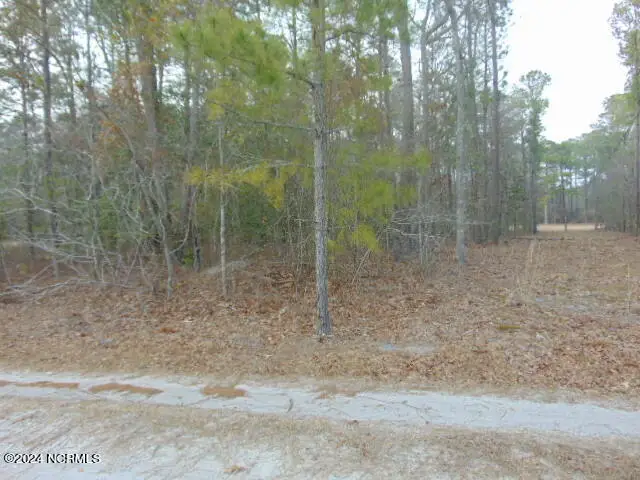 7 Hillcrest Road, Aurora, NC 27806 - Image #3