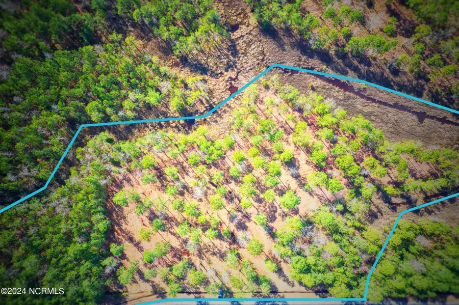 203 Paradox Point Drive, Aurora, NC 27806 - Image #2