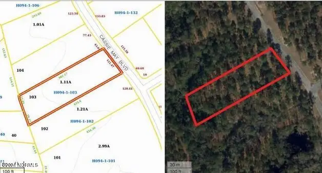 103 Cassie May Boulevard, Oriental, NC 28571 - Image #2