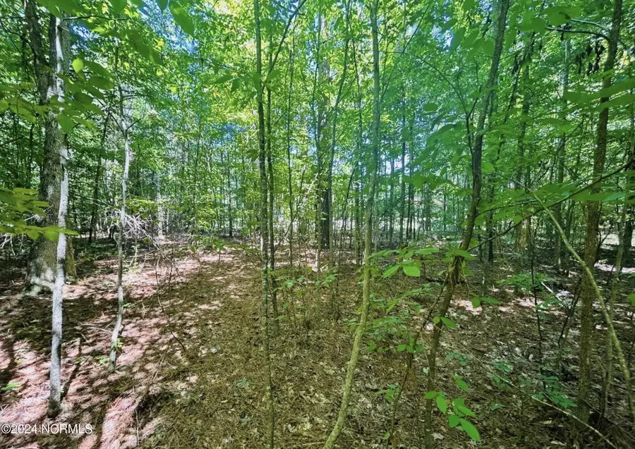 19 Meherrin River Drive, Hertford, NC 27944 - Image #3