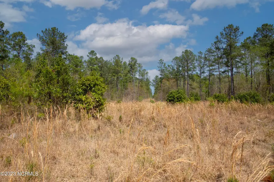 0 Gum Swamp Church Road, Greenville, NC 27834 - Image #2