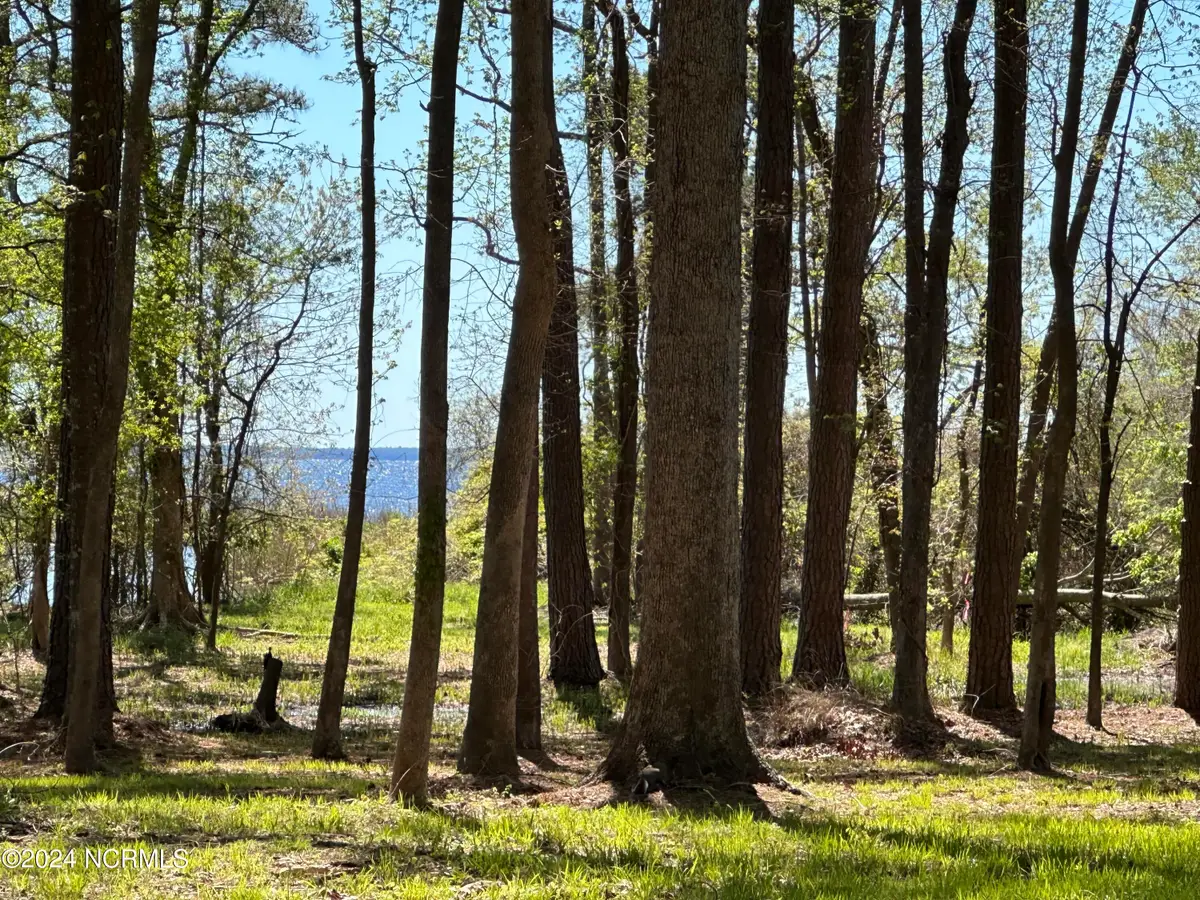 115 Waterford Drive, Bath, NC 27808 - Image #1