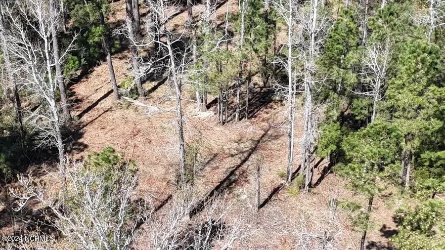 107 Pin Oak Court, Beaufort, NC 28516 - Image #3