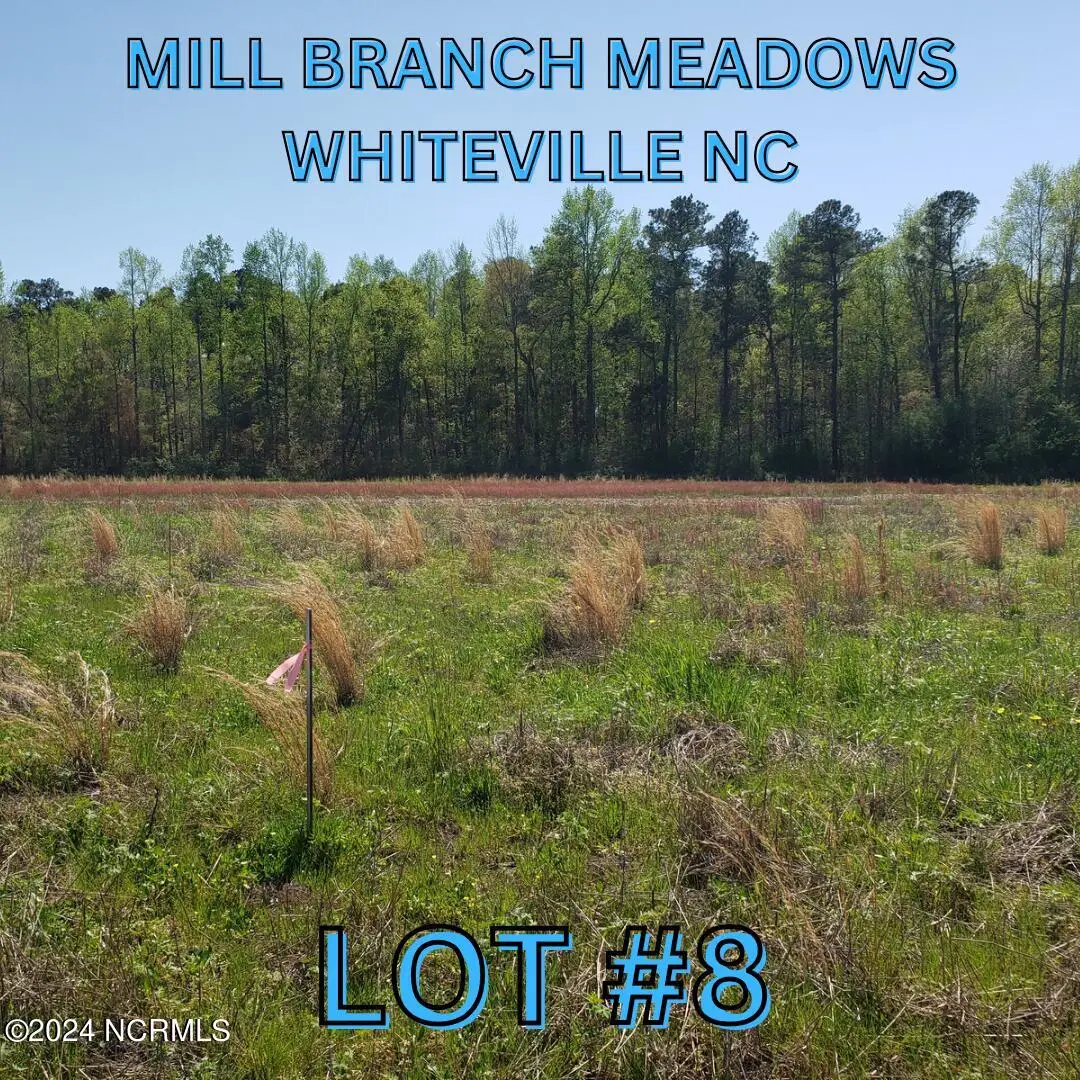 97 Mill Branch Drive, Whiteville, NC 28472 - Image #1